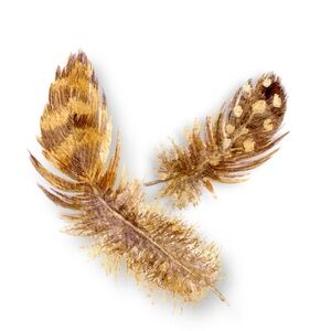 I am a Posh Ambassador!